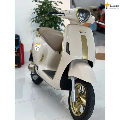 XE MÁY ĐIỆN TAHAWA NHẬT BẢN ORLA