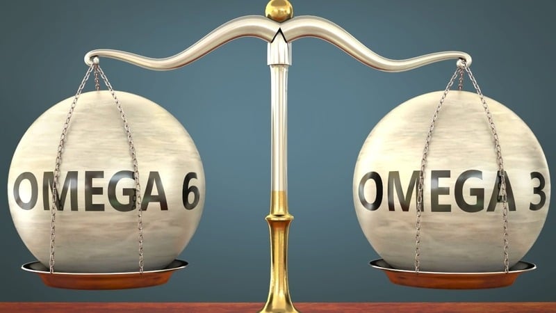 Ăn quá nhiều dầu lạc có thể gây ra những tác hại gì?