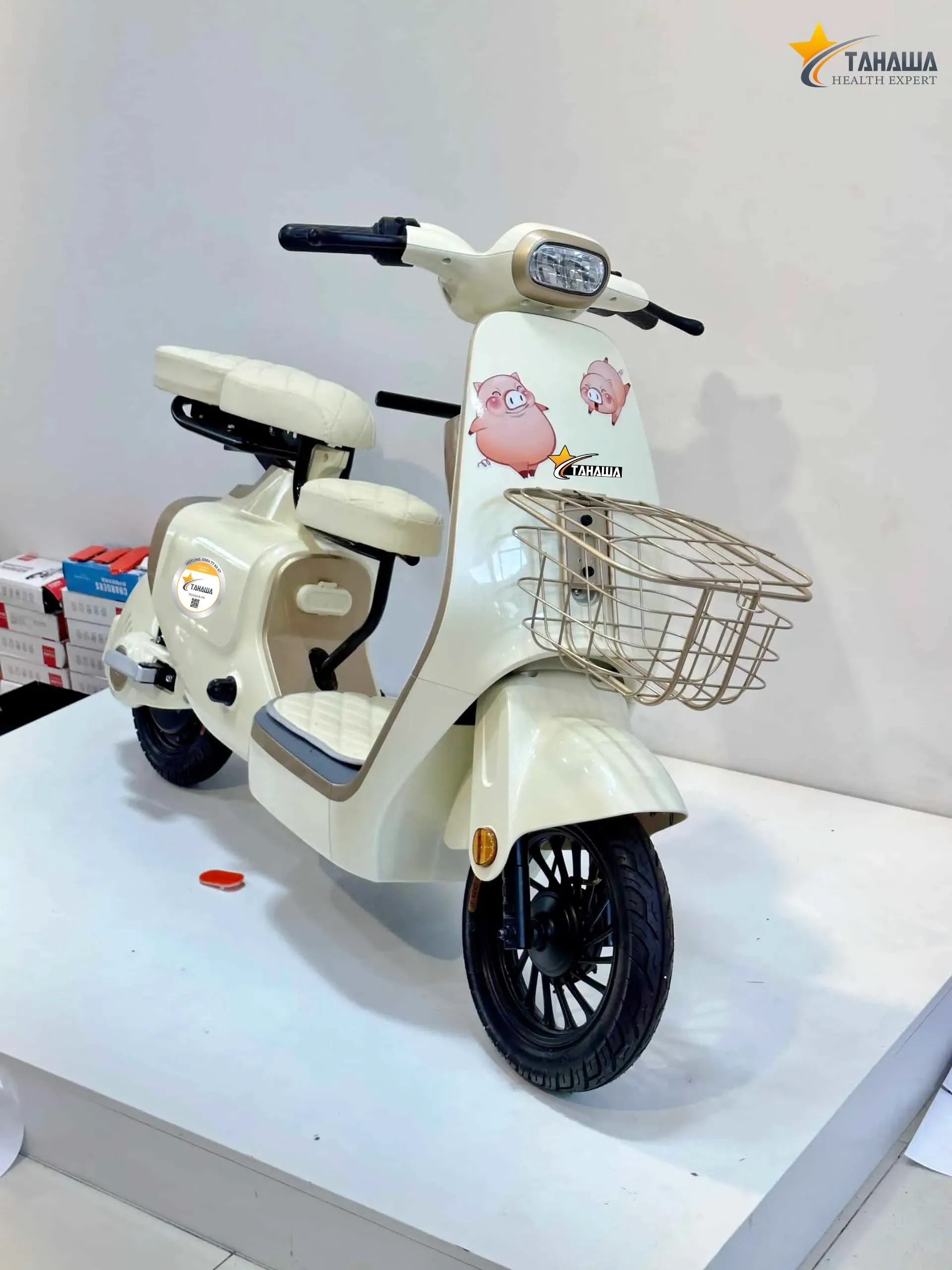 xe đạp điện không có bàn đạp Tahawa TH-VC1 xe đạp điện không có bàn đạp Tahawa TH-VC1