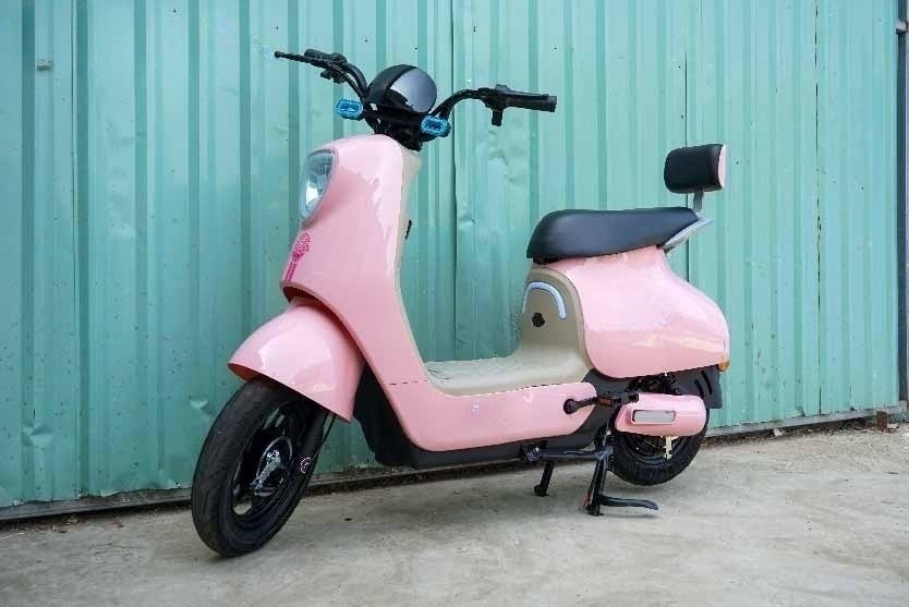 Top 5 xe đạp điện màu hồng đẹp nhất và đáng mua nhất hiện nay Top 5 xe đạp điện màu hồng đẹp nhất và đáng mua nhất hiện nay