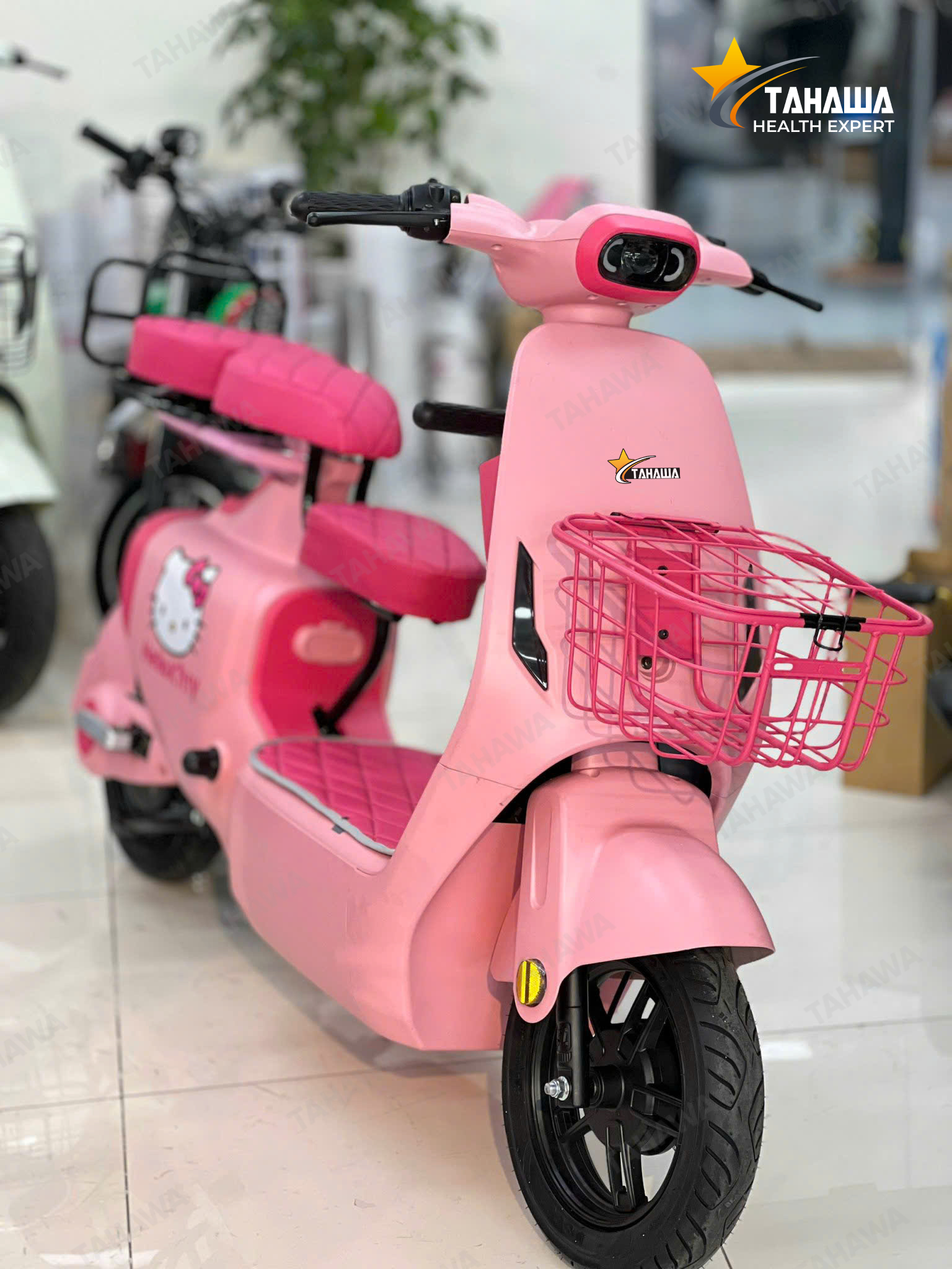 XE ĐẠP ĐIỆN TAHAWA NHẬT BẢN TH-V1 XE ĐẠP ĐIỆN TAHAWA NHẬT BẢN TH-V1