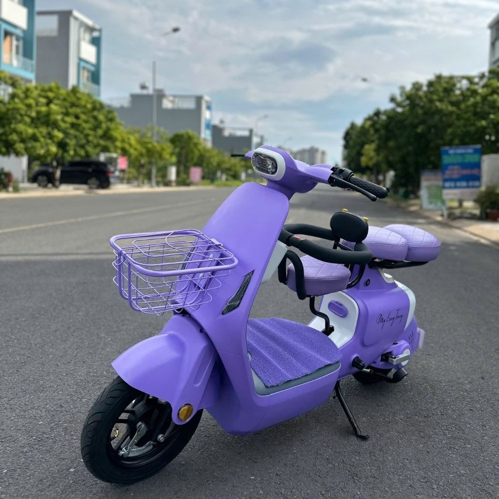 Xe đạp điện Tahawa TH-V1 màu tím – Lựa chọn của sự đẳng cấp Xe đạp điện Tahawa TH-V1 màu tím – Lựa chọn của sự đẳng cấp