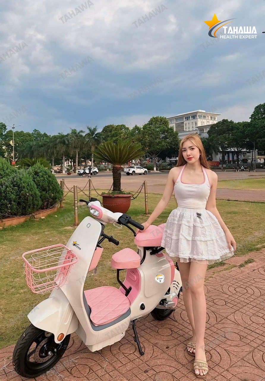 xe đạp điện tahawa cực bền xe đạp điện tahawa cực bền