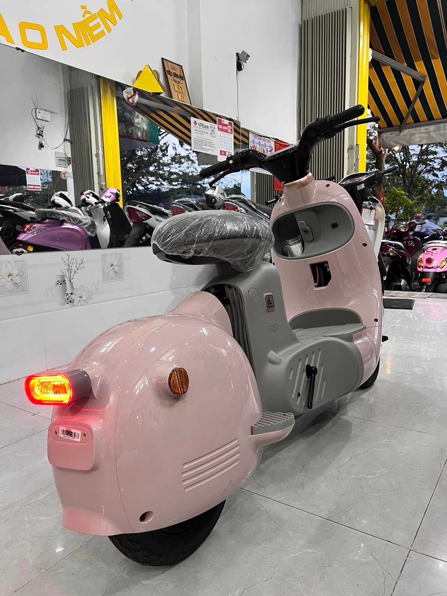 Top 5 xe đạp điện màu hồng đẹp nhất và đáng mua nhất hiện nay Top 5 xe đạp điện màu hồng đẹp nhất và đáng mua nhất hiện nay