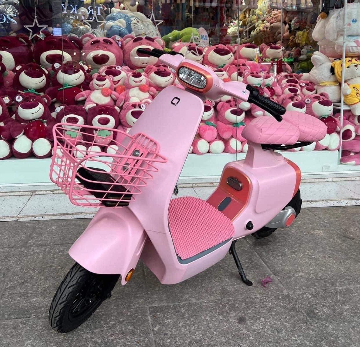 Top 5 xe đạp điện màu hồng đẹp nhất và đáng mua nhất hiện nay Top 5 xe đạp điện màu hồng đẹp nhất và đáng mua nhất hiện nay