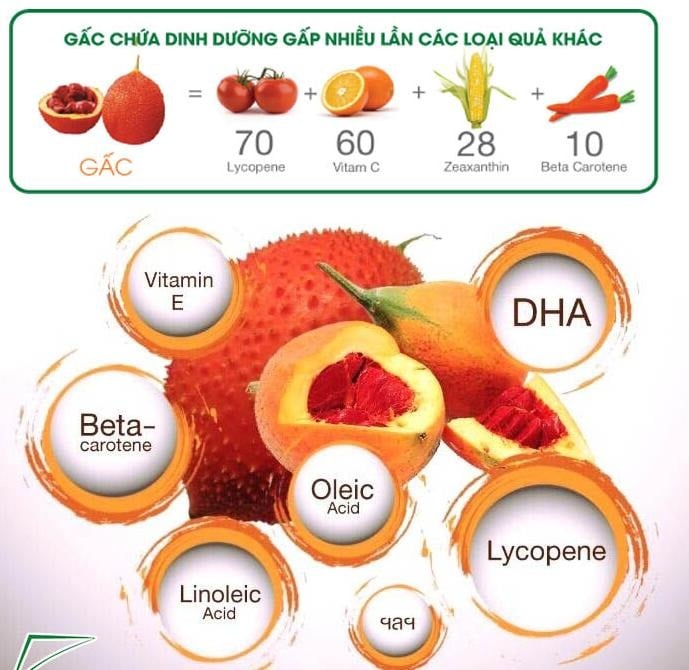 cong-dung-cua-dau-gac-2
