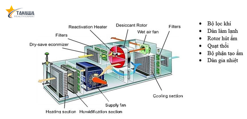 So sánh máy hút ẩm không khí và máy lọc không khí