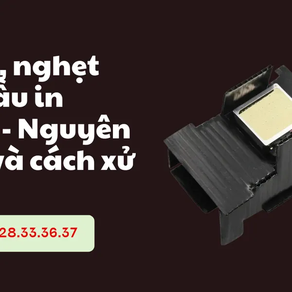 Lỗi tắc, nghẹt mực đầu in TX800 - Nguyên nhân và cách xử lý