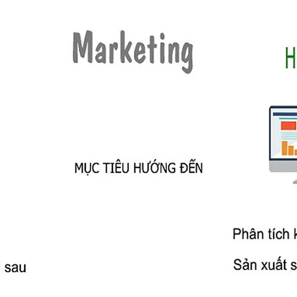 Vai trò của Marketing trong kinh doanh và xây dựng thương hiệu
