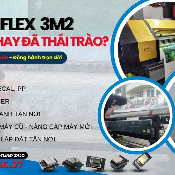 In bạt Hiflex 3m2 – Xu hướng còn hot hay đã thoái trào?