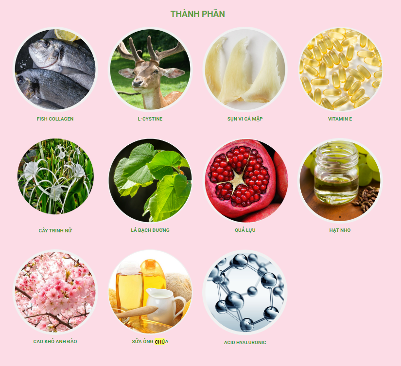 Thành phần bena collagen Thành phần bena collagen