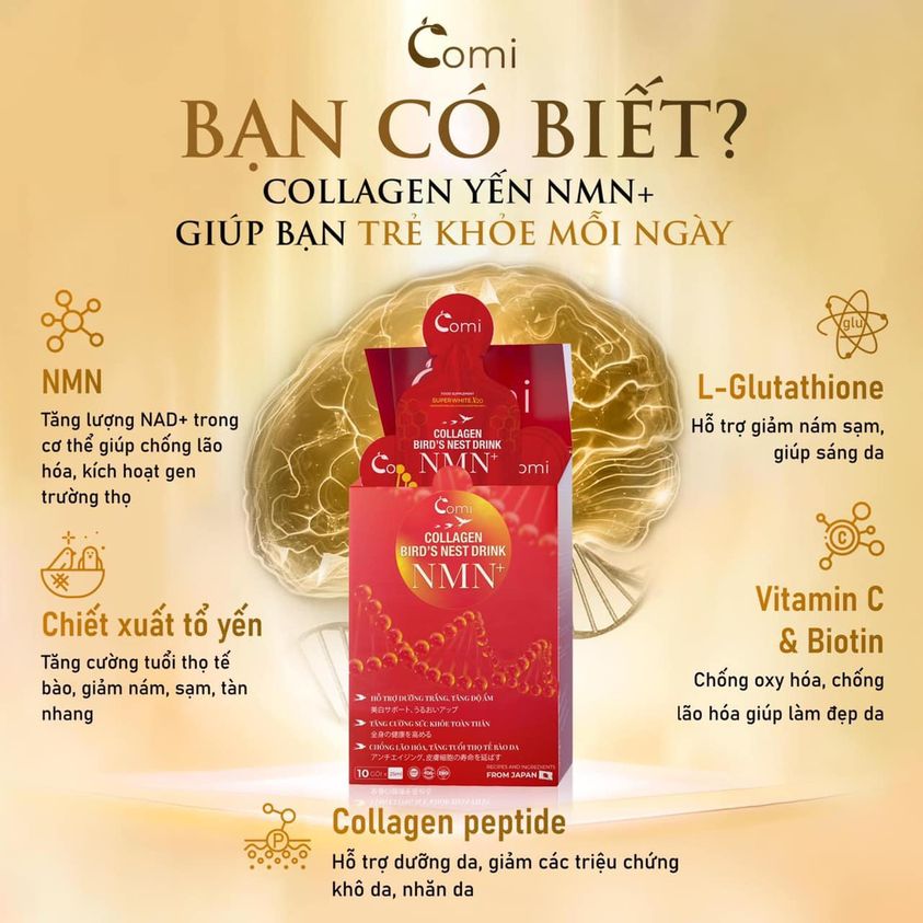 Thành phần collagen comi yến nmn Thành phần collagen comi yến nmn