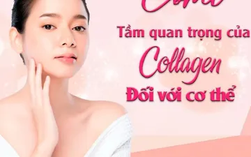 Collagen Và Vitamin E Có Uống Chung Được Không