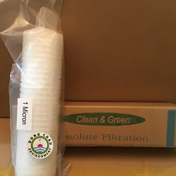 Lõi lọc giấy xếp 1 micron 10 inch Clean Green oring 226