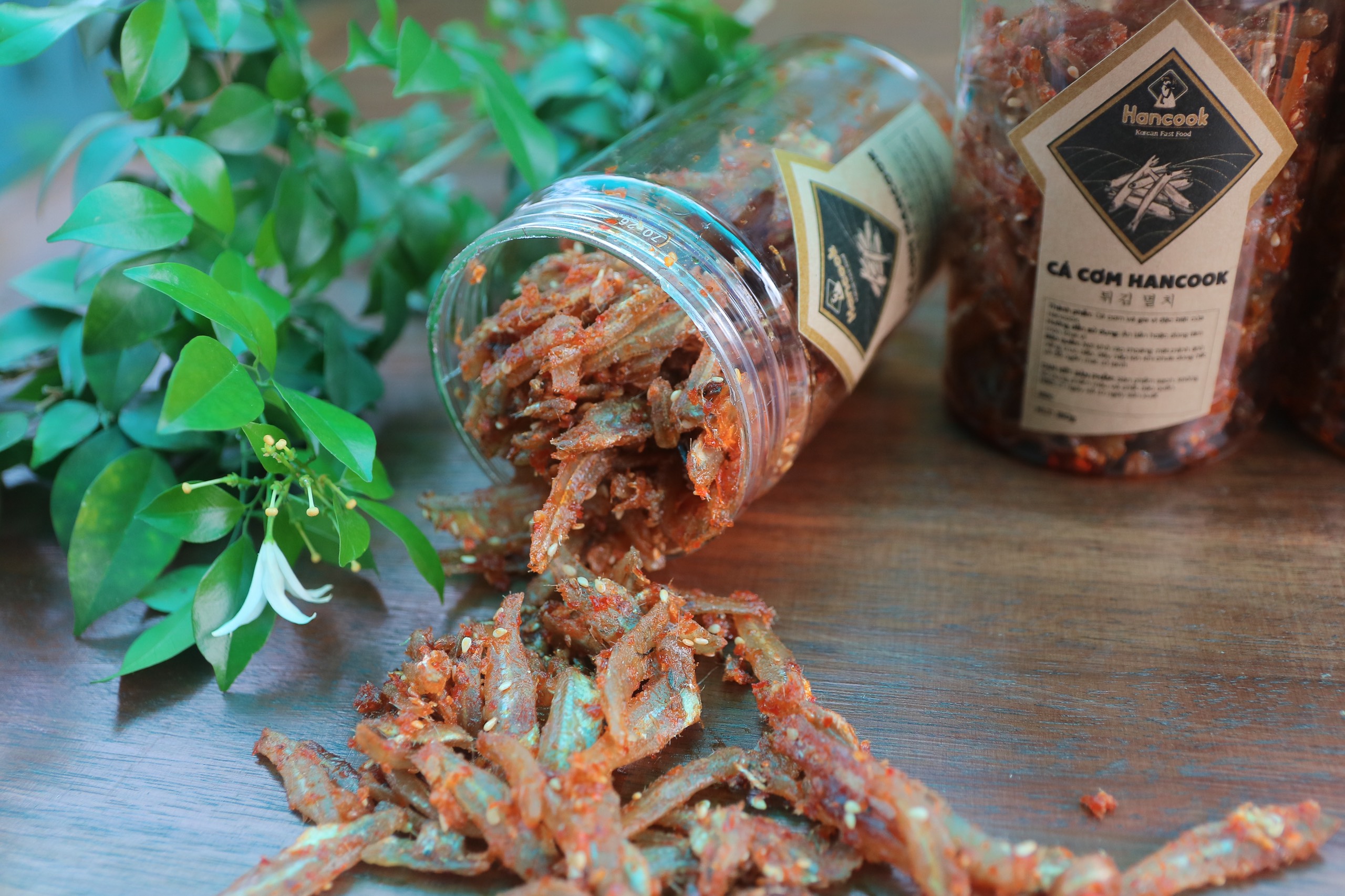 cá-cơm-hancook cá-cơm-hancook