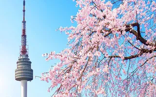 Du lịch Hàn Quốc đầu năm nên lưu ý gì