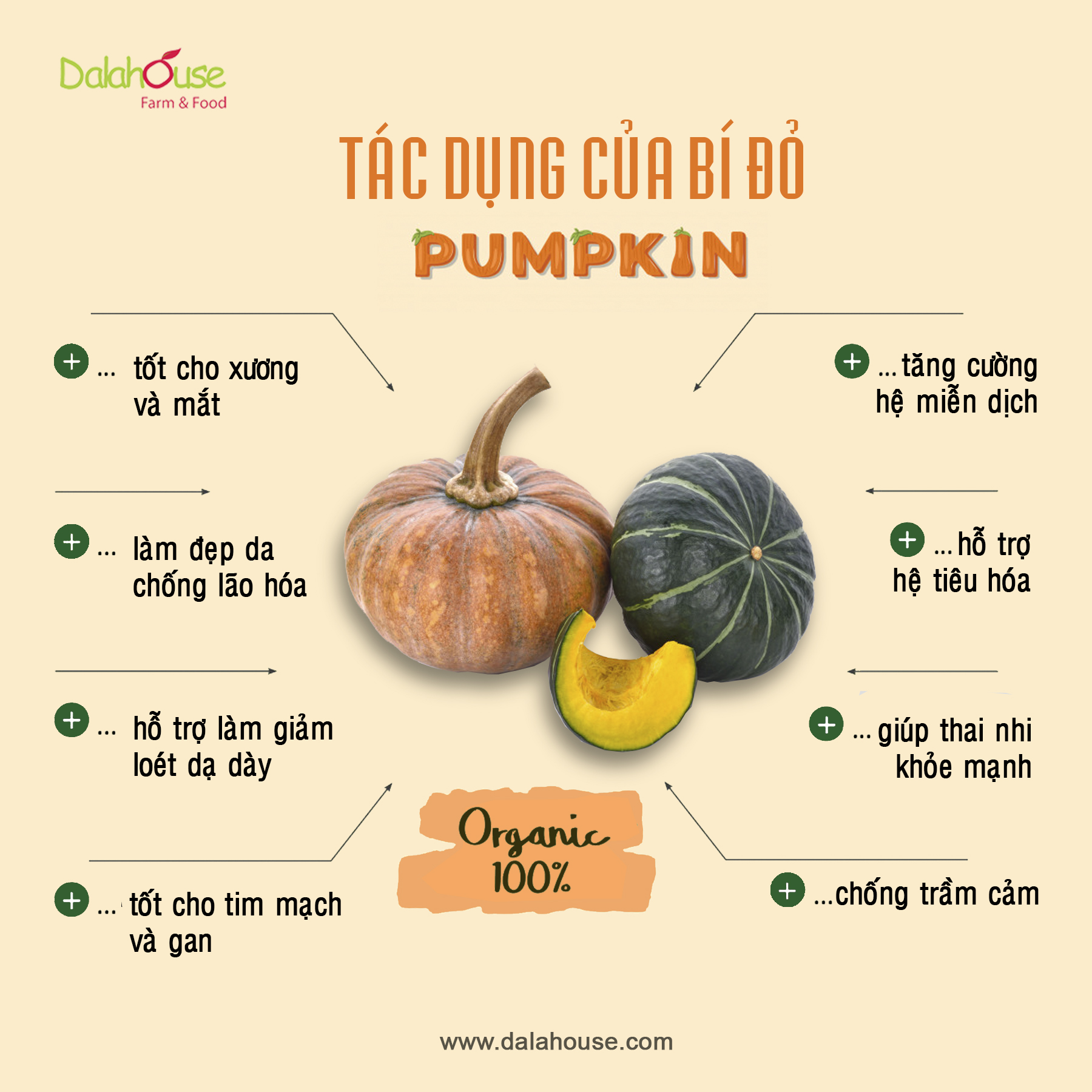 bột bí đỏ sấy lạnh dalahouse