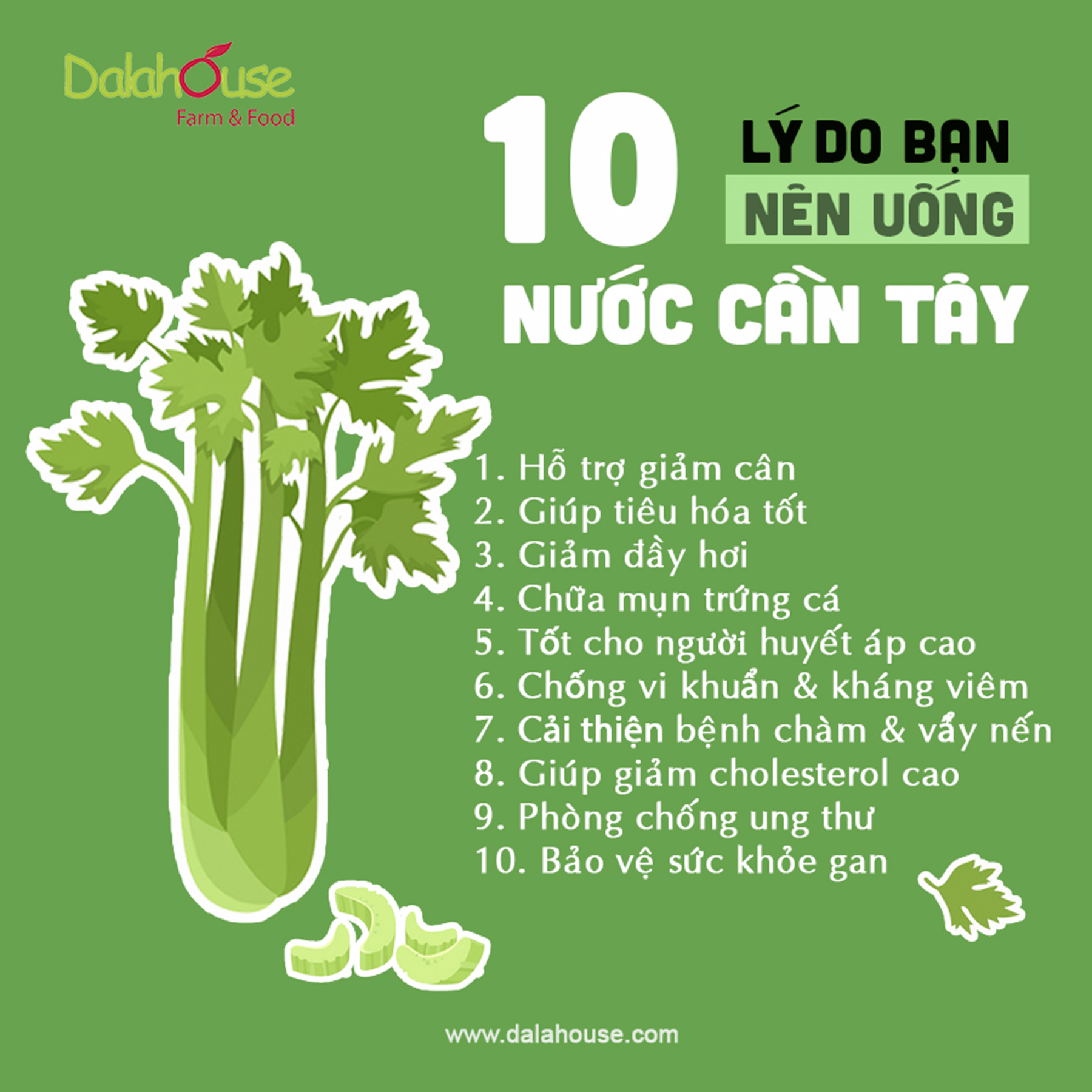 Review Bột Cần Tây Sấy Lạnh Dalahouse Giảm Cân Có Tốt Không