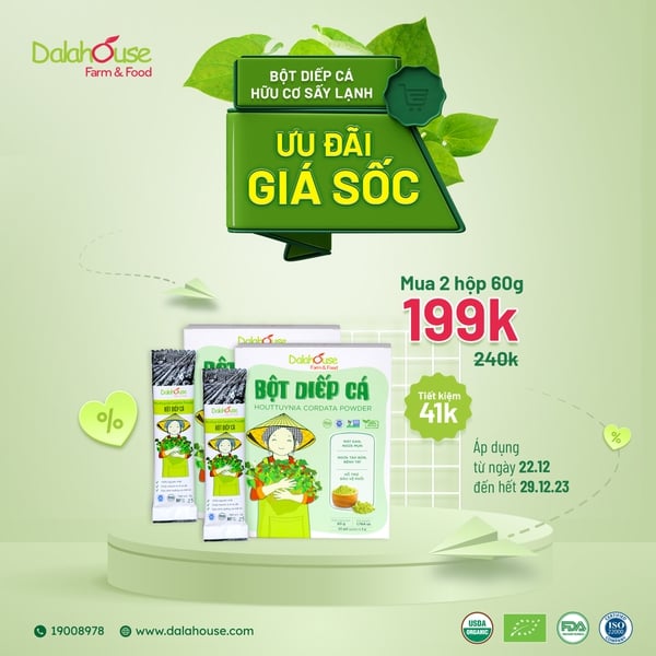 Combo 2 hộp 60g bột diếp cá hữu cơ Dalahouse
