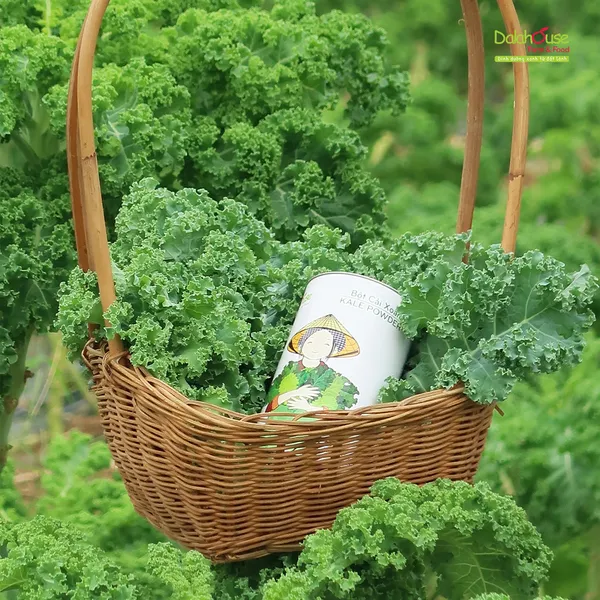 BỘT CẢI XOĂN DALAHOUSE 60g/120g