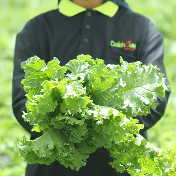 Trâm Nguyễn, Fouder Dalahouse Hành trình 6 năm xây dựng sản phẩm Made in Vietnam đạt chuẩn hữu cơ Mỹ và Châu Âu