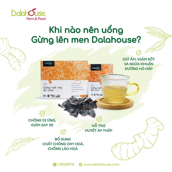 TRÀ GỪNG MẬT ONG LÊN MEN 75gram