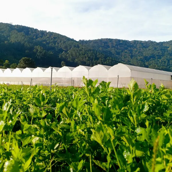 DALAHOUSE TUYỂN DỤNG