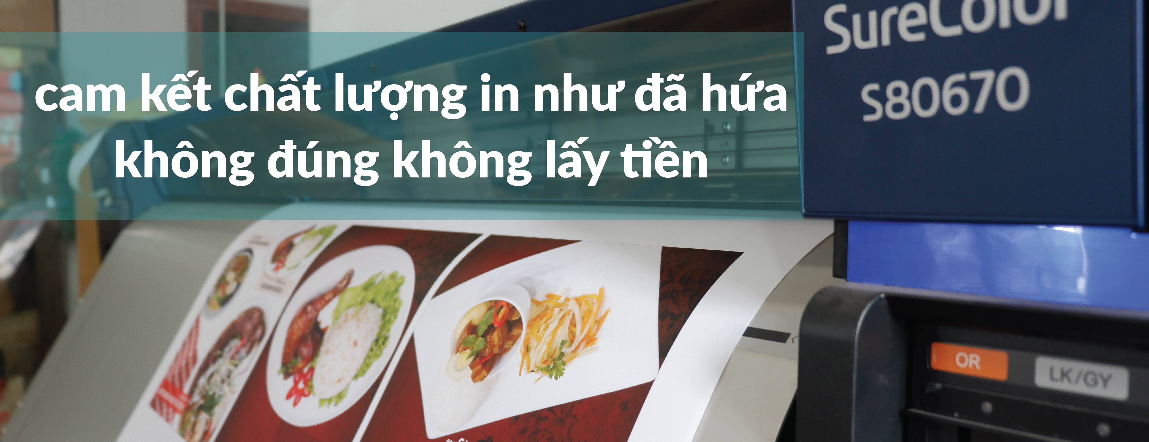 cam kết chất lượng in nắng Phương Nam  cam kết chất lượng in nắng Phương Nam