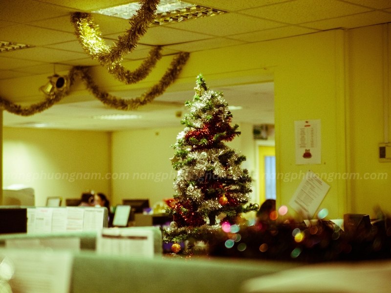 decor-giang-sinh-cho-van-phong-cong-ty Decor giáng sinh tại văn phòng công ty
