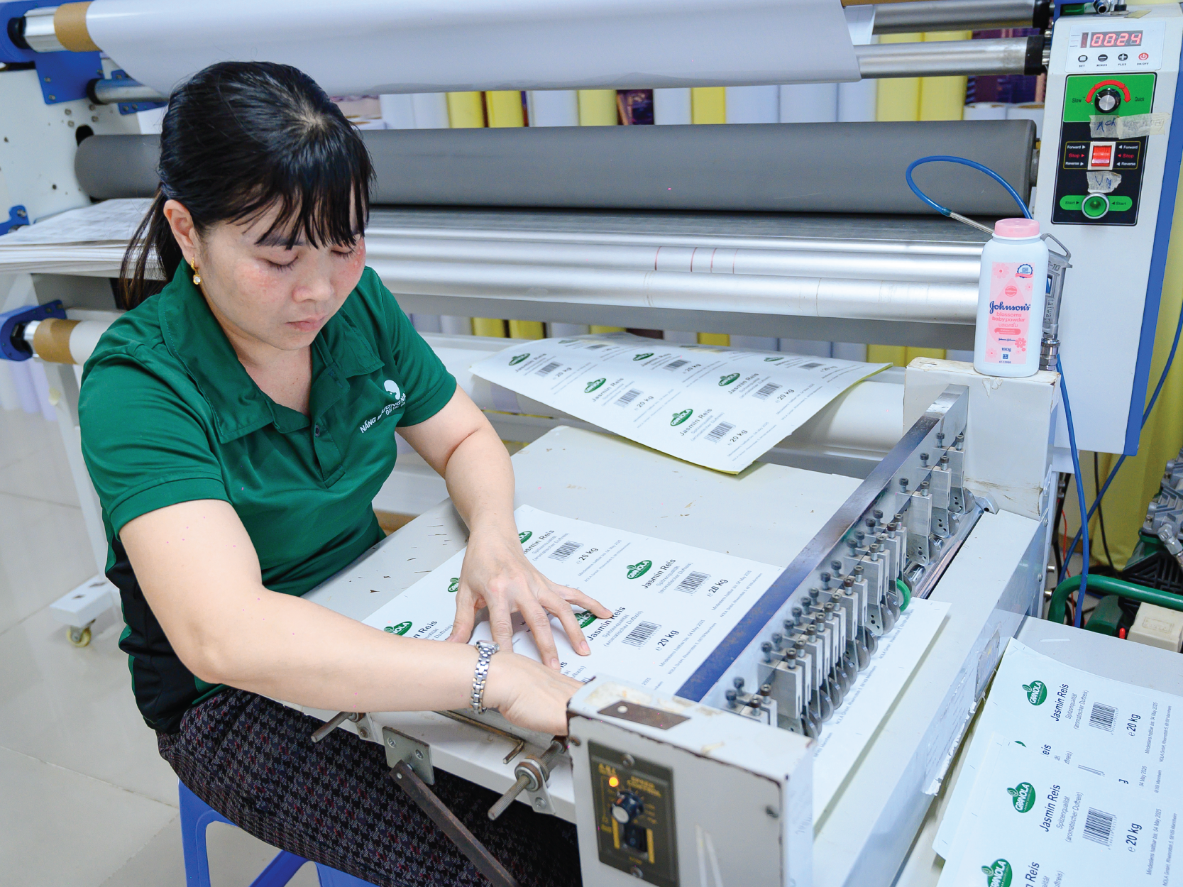 ti mi trong tung cong doan in an