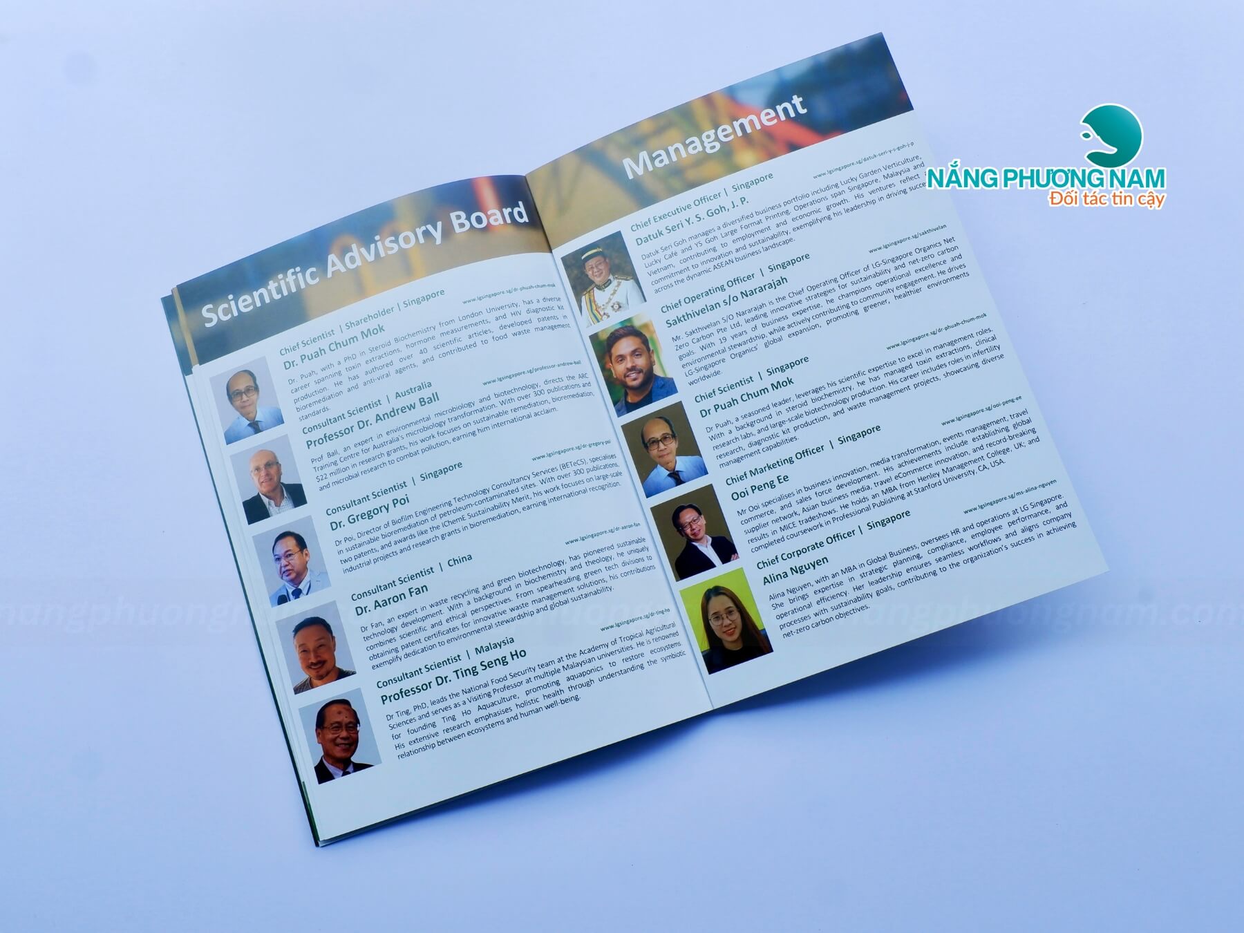 in-brochure-dep chất liệu in ấn brochure