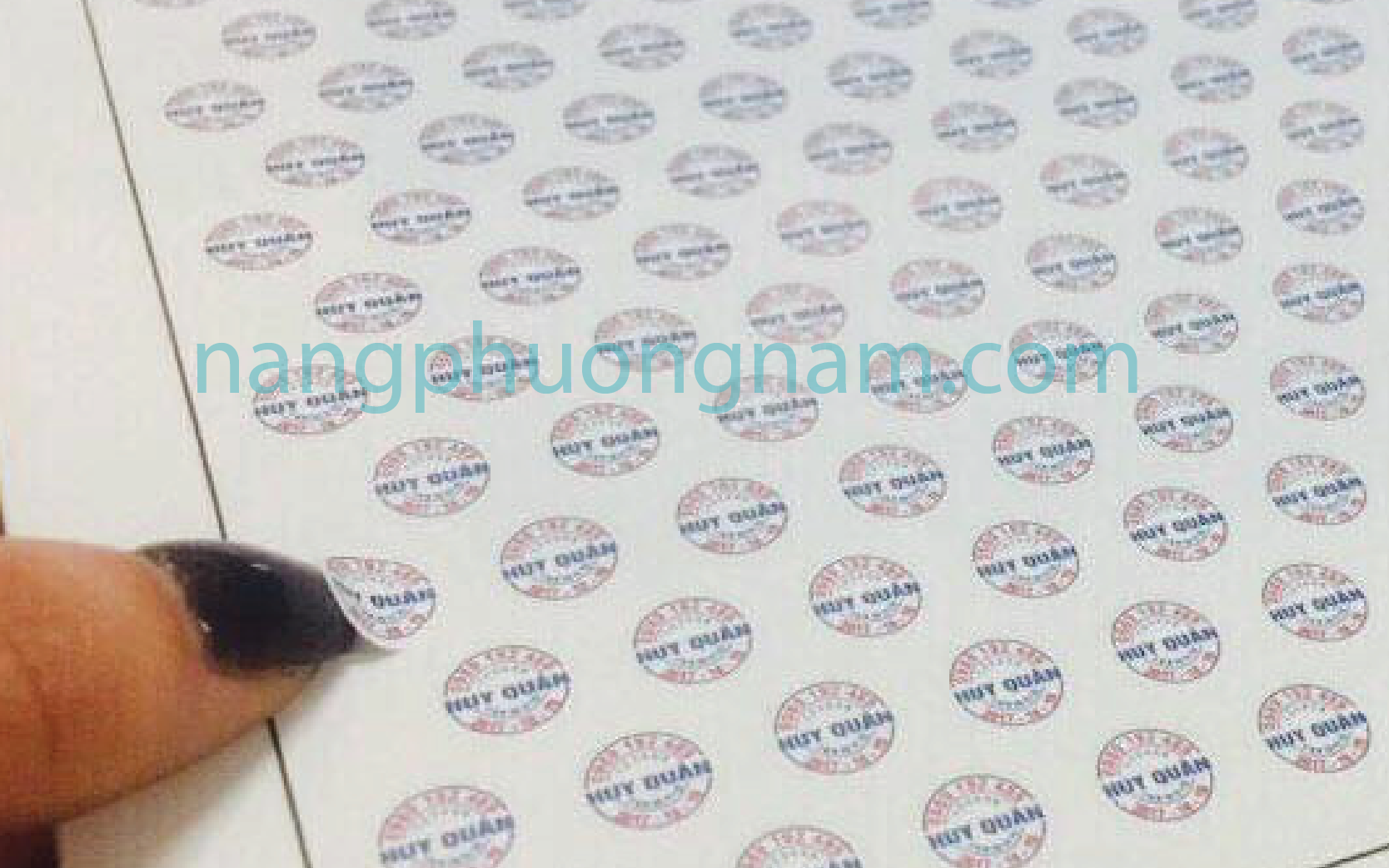 in decal dán tem bể in decal dán tem bể