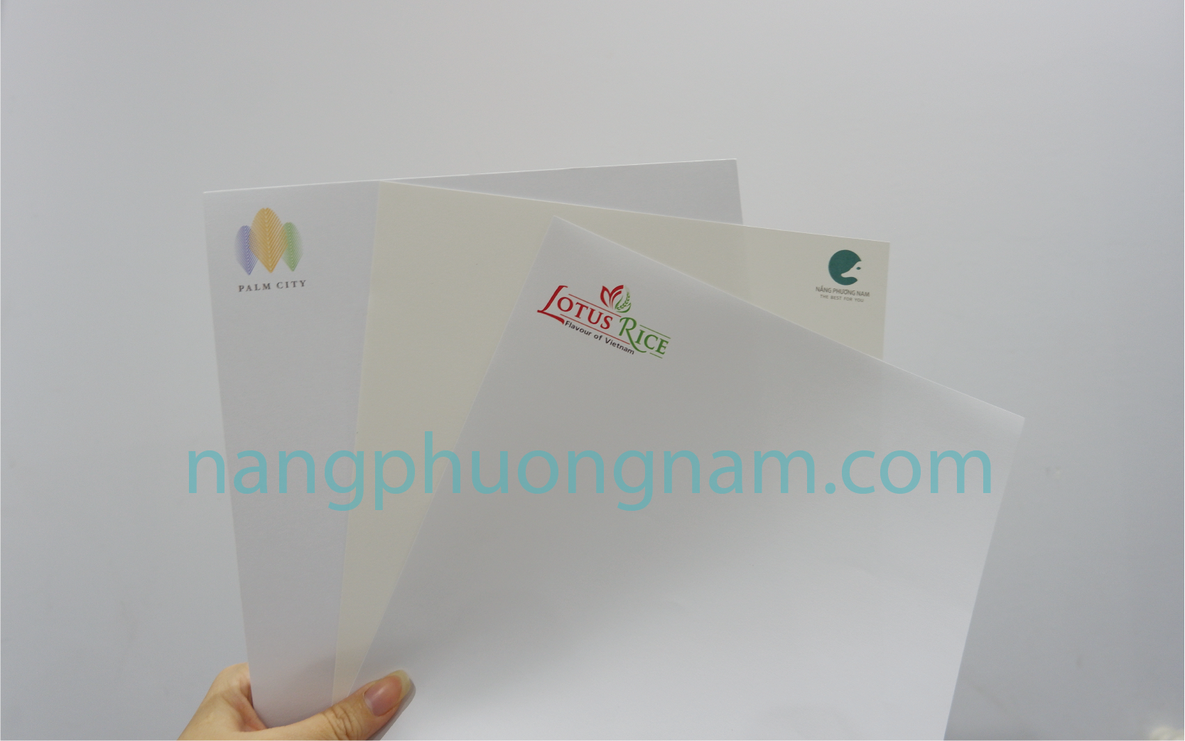 in letter head các loại giấy  in letter head các loại giấy