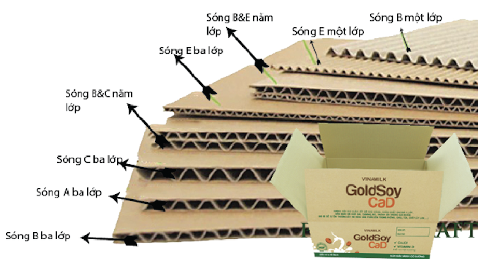 lam hộp giấy bồi sóng E-F lam hộp giấy bồi sóng E-F