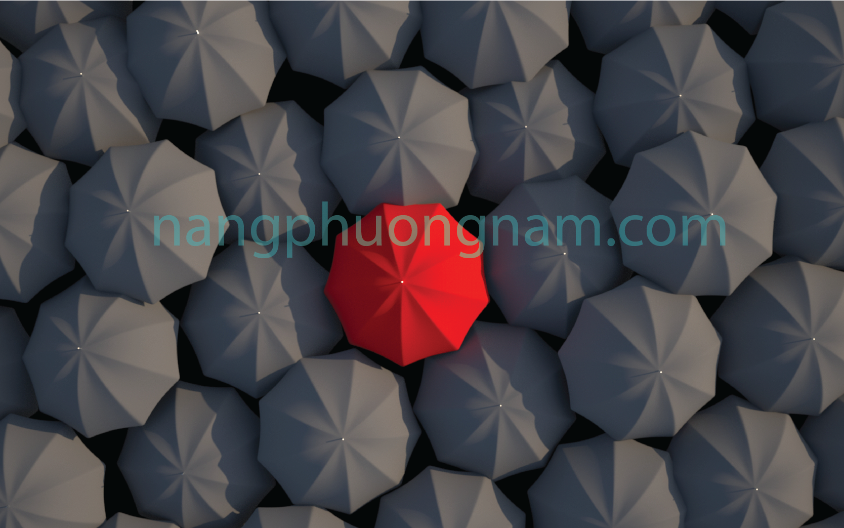 logo trà sữa - sự khác biệt logo trà sữa - sự khác biệt