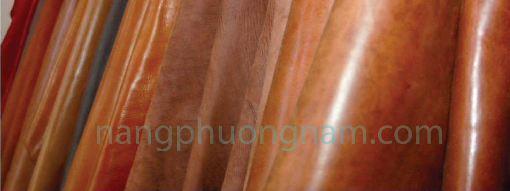 mẫu da thật mẫu da thật