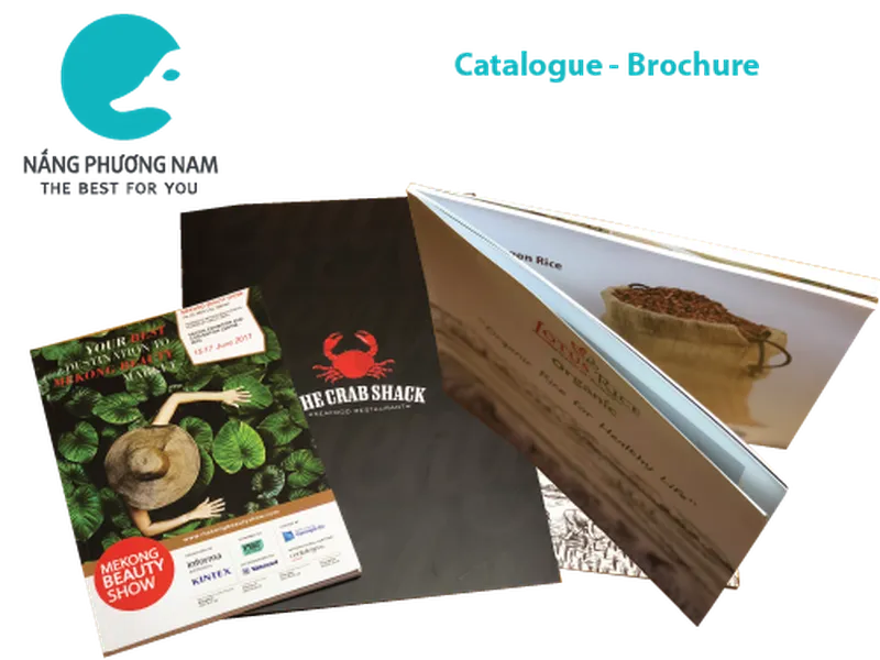 Catalogue