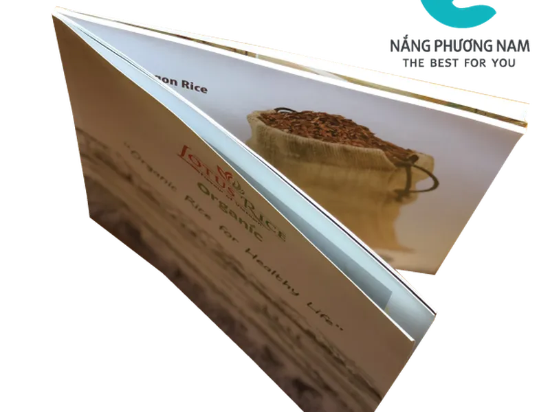 Catalogue