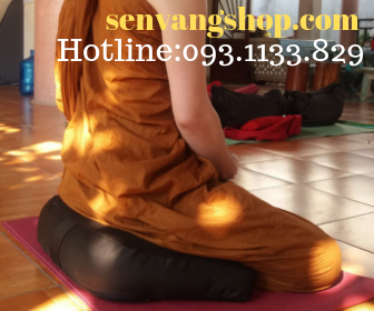 Bồ đoàn ngồi thiền vỏ đậu chữ V Bồ đoàn ngồi thiền vỏ đậu chữ V