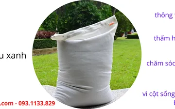 ĐỂ CÓ MỘT GIẤC NGỦ TỐT BẠN HÃY NÊN CHỌN GỐI NẰM VỎ ĐẬU SENVANGSHOP.