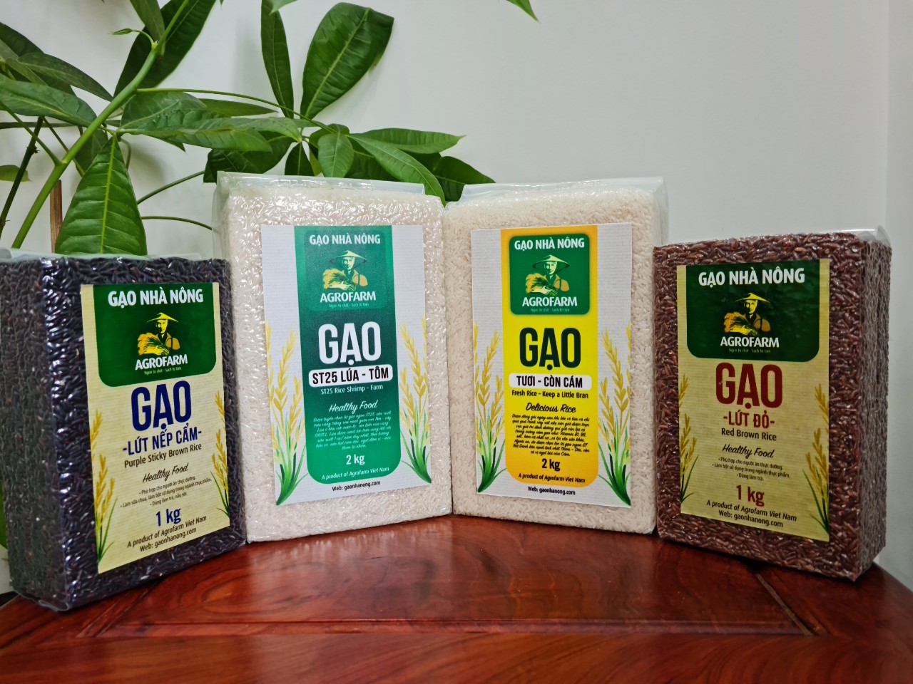 Gạo Nhà Nông - Ngon từ chất - Sạch từ tâm Gạo Nhà Nông - Ngon từ chất - Sạch từ tâm