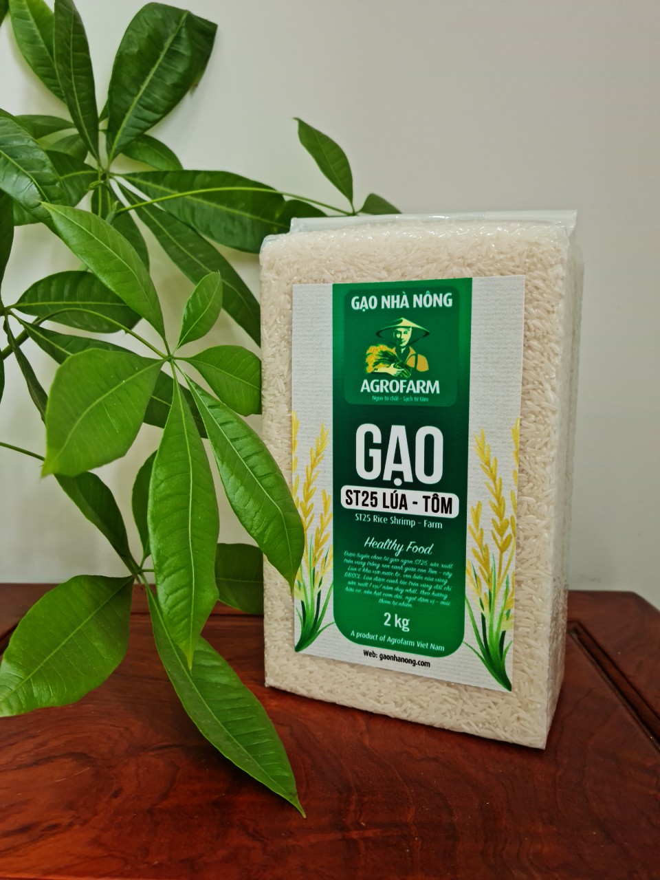 Gạo lúa tôm chứa hàm lượng dinh dưỡng cao tốt cho sức khỏe Gạo lúa tôm chứa hàm lượng dinh dưỡng cao tốt cho sức khỏe