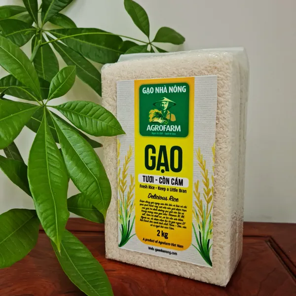 Gạo ST25 Lúa Tôm