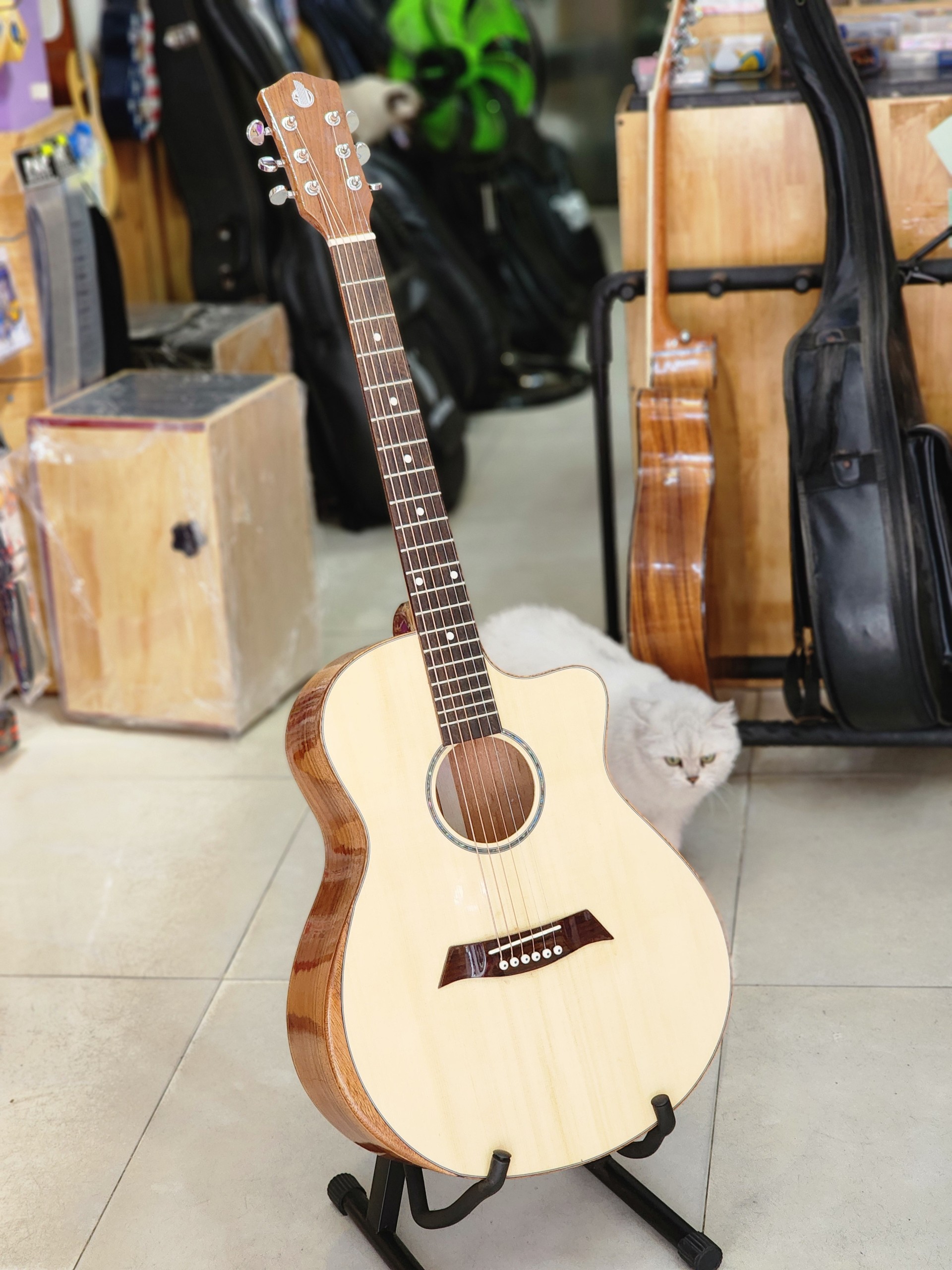 Đàn guitar acoustic gỗ hồng đào A2V sang trọng, thanh lịch Đàn guitar acoustic gỗ hồng đào A2V sang trọng thanh lịch