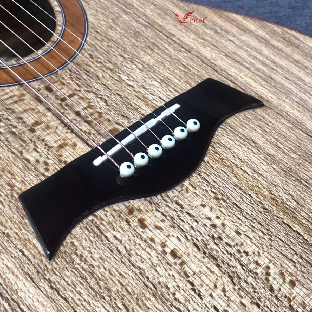 S5 GUITAR GỖ SỒI DÁNG SỪNG ACOUSTIC