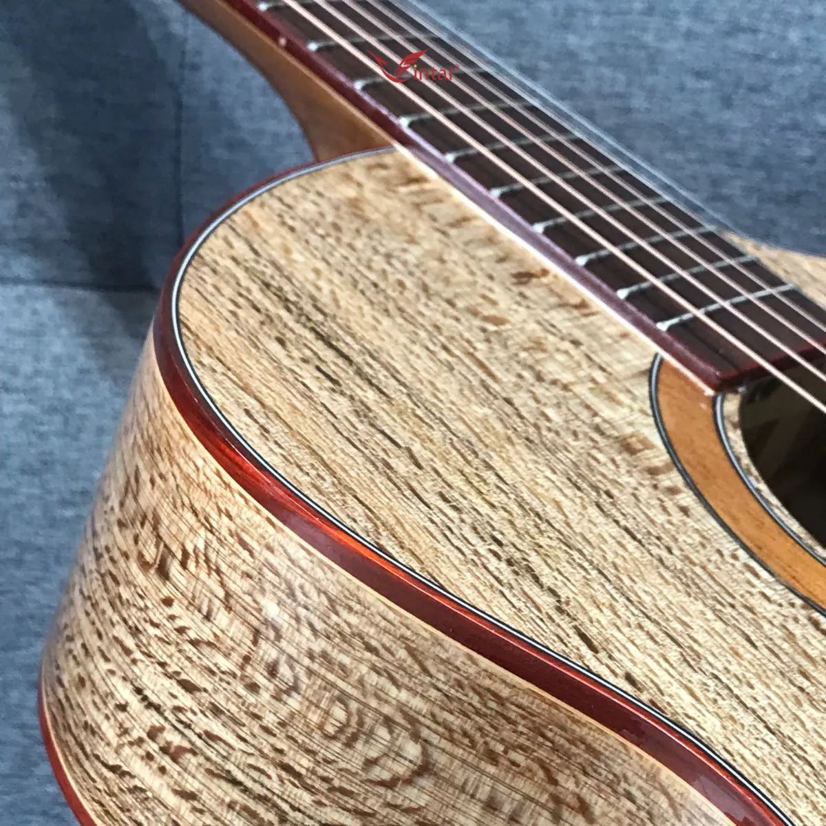 S5 GUITAR GỖ SỒI DÁNG SỪNG ACOUSTIC