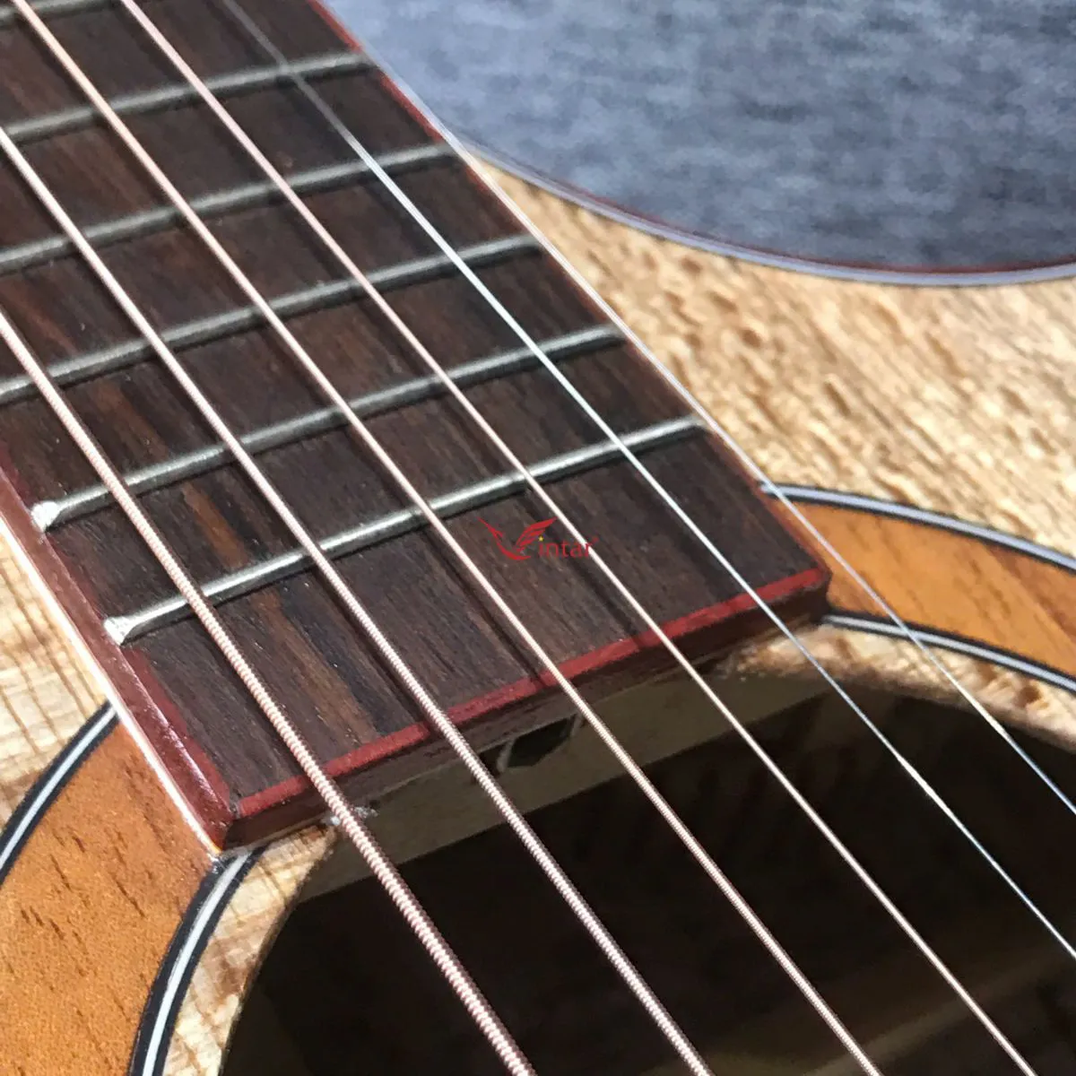 S5 GUITAR GỖ SỒI DÁNG SỪNG ACOUSTIC