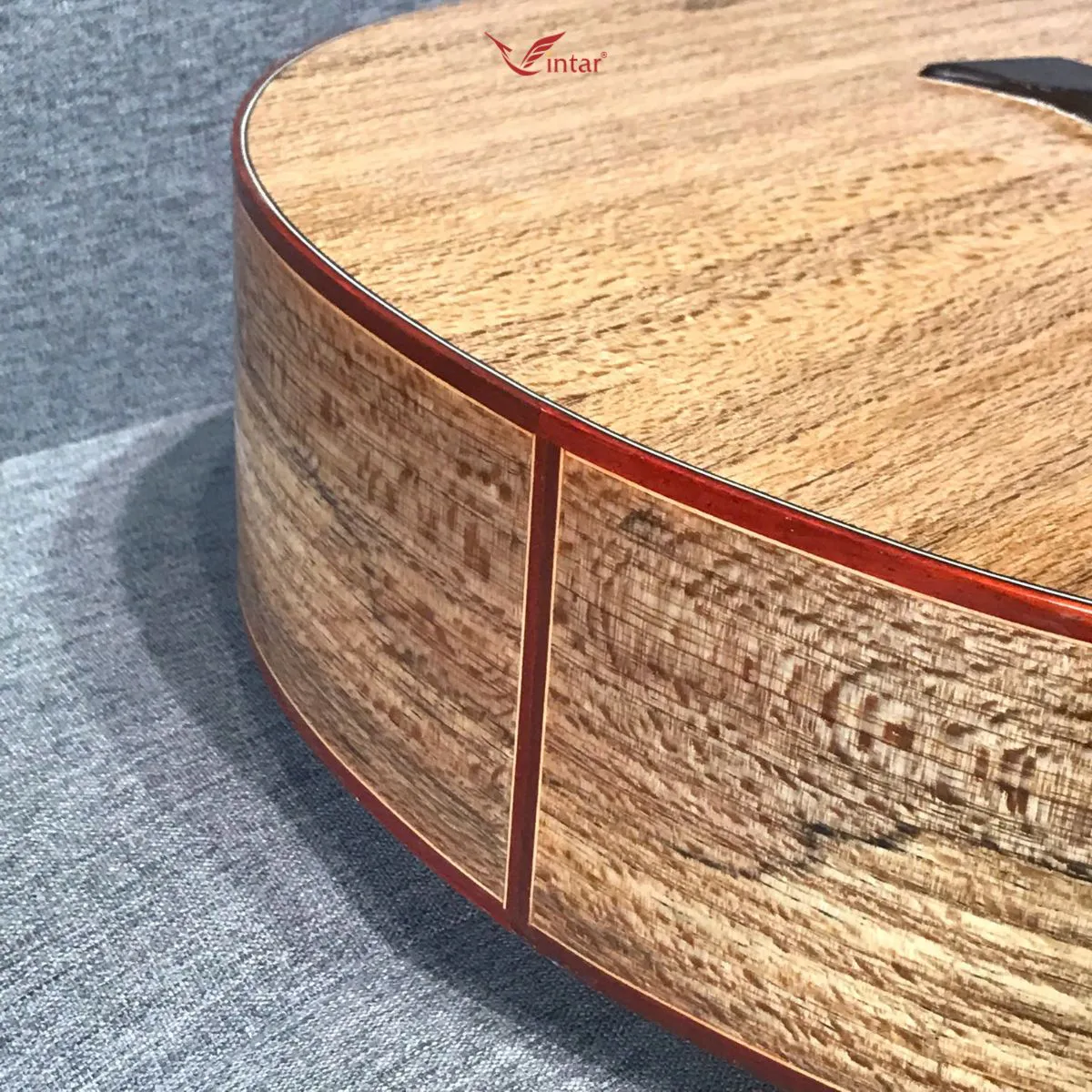 S5 GUITAR GỖ SỒI DÁNG SỪNG ACOUSTIC