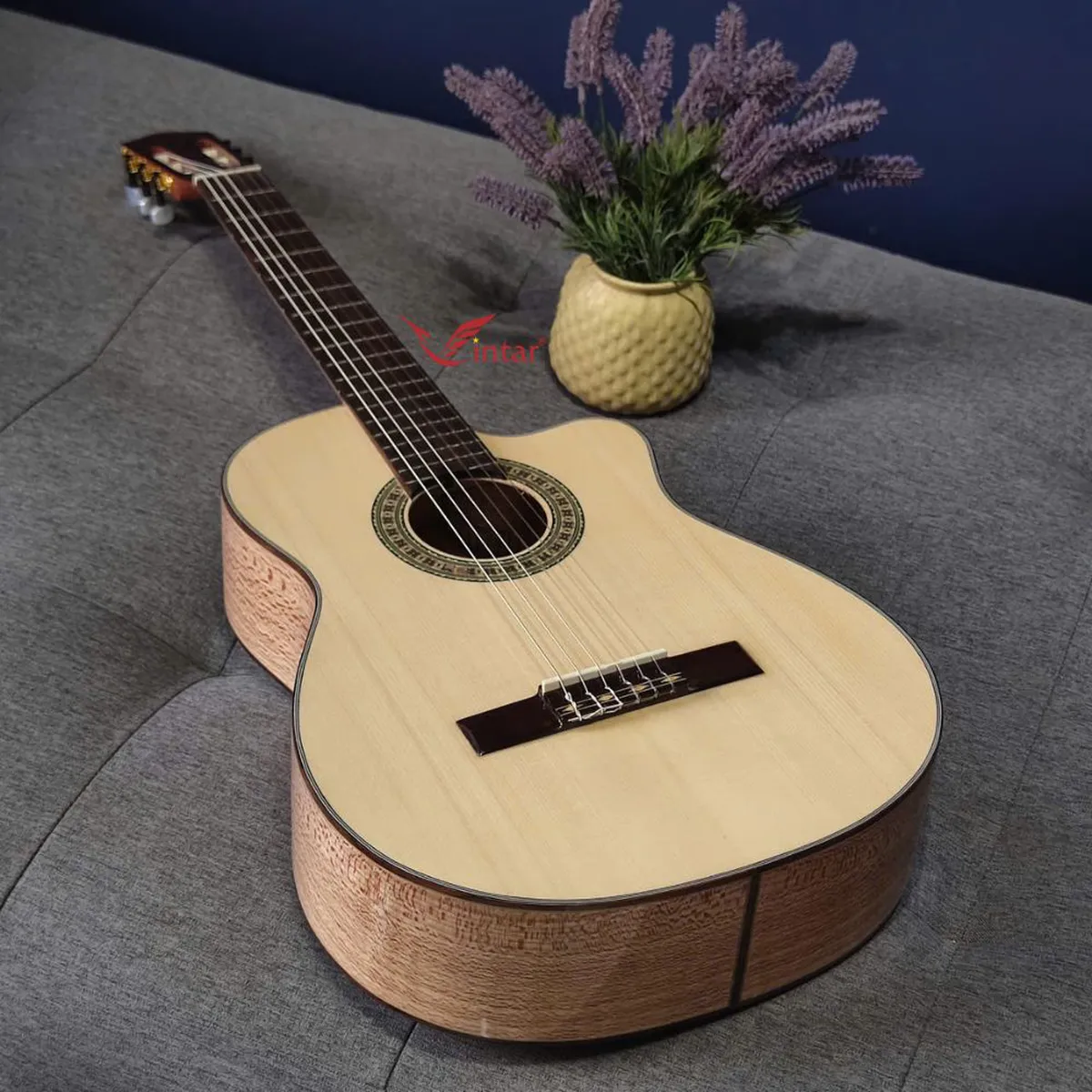 C6K GUITAR CLASSIC GỖ SỒI PHÁP LƯNG 3 MẢNH