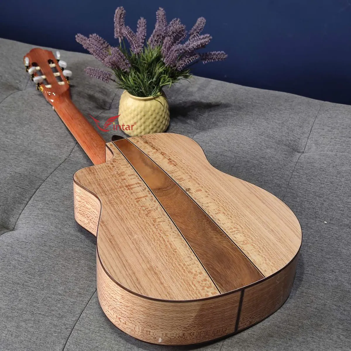 C6K GUITAR CLASSIC GỖ SỒI PHÁP LƯNG 3 MẢNH